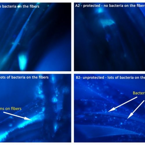 Mechanizm biologiczny zabezpieczy tkaniny przed osadzaniem się na nich bakterii