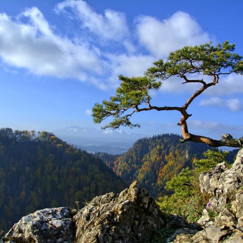 7 powodów, dla których warto odwiedzić Małopolskę