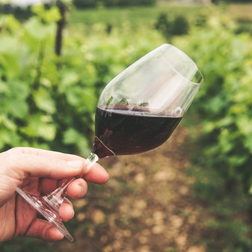 Winne Podróże Marka Kondrata Po Majorce